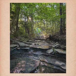 Sun Ray Creek Jigsaw Puzzle